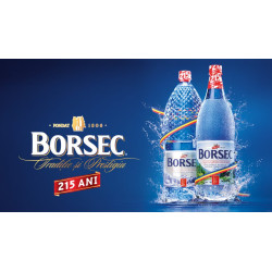 Borsec Natural Sparkling Water 1.5L